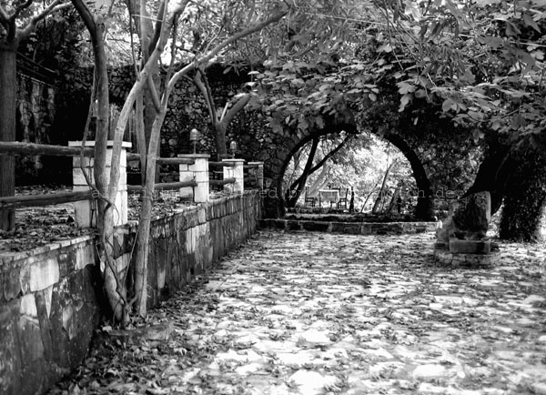 2008 Forgotten