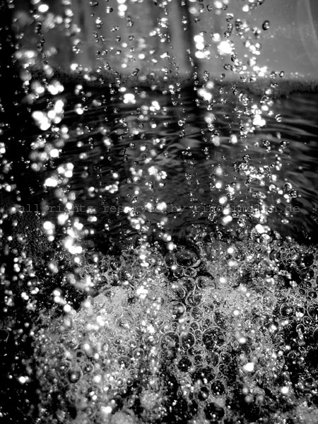 2010 Bubbles1sw