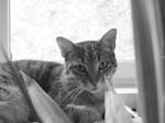 20141123 - Polly (4)