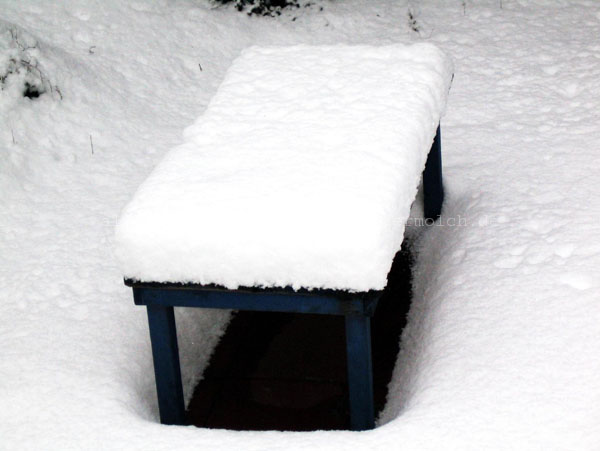 2008 Snowtable