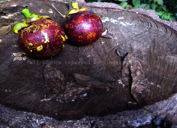 2010 Fruit