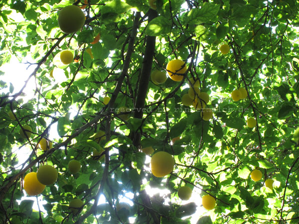 20140716 (1)